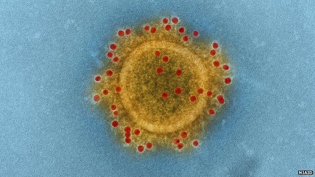 Middle East Respiratory Syndrome Coronavirus particle