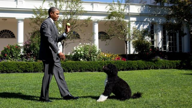 باراك أوباما مع الكلب "بو" في البيت الأبيض - 2010
