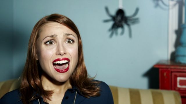 Почему нельзя убивать пауков в квартире?