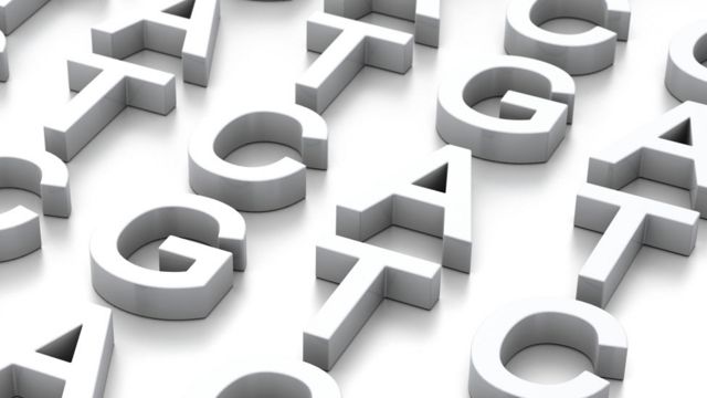 Letras de las bases de ADN