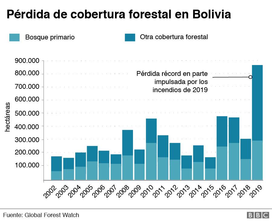 Pérdida de cobertura forestal en Bolivia