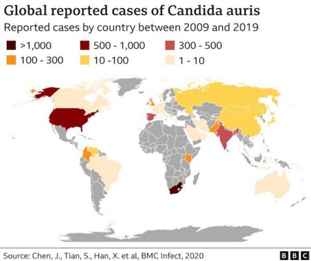 Candida reported cases map