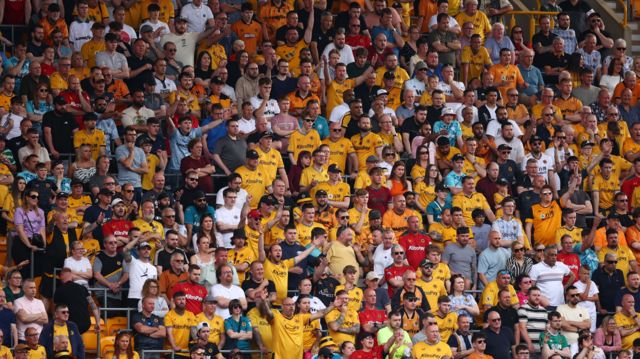 Wolves supporters watch a home match at Molineux