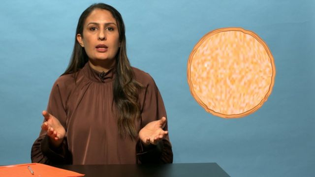 Shazia Sangarwal durante la presentación del módulo de matemáticas.