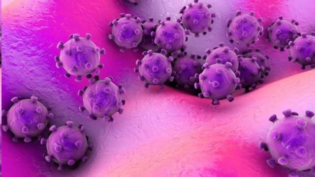 تاکنون ۶ نمونه از ویروس کرونا کشف شده بود و با مورد اخیر تعداد آن به هفت می‌رسد