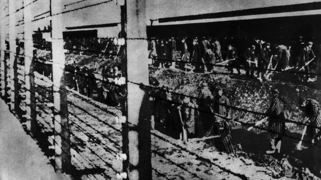 Behind an electric fence, prisoners of Auschwitz Concentration Camp digging a ditch. Auschwitz, 1940s