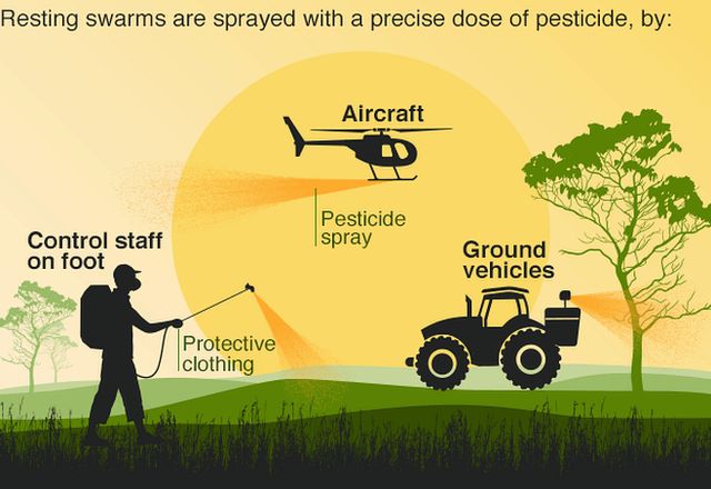 Pesticide graphic