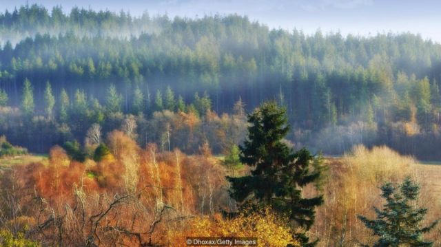 Um grupo de dinamarqueses que retornou dos EUA comprou um terreno que viria a se tornar o Rebild National Park, um recanto para todos os dinamarqueses-americanos