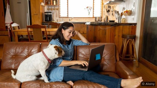 Mulher trabalhando no laptop com cachorro do lado