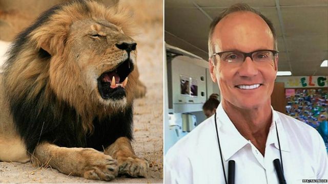 Walter Palmer and Cecil the lion