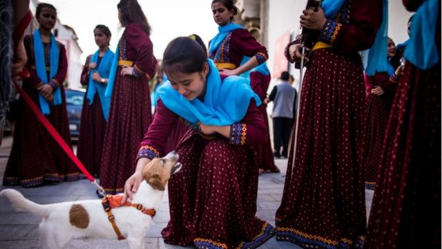 Afghan female musician playing with a dog