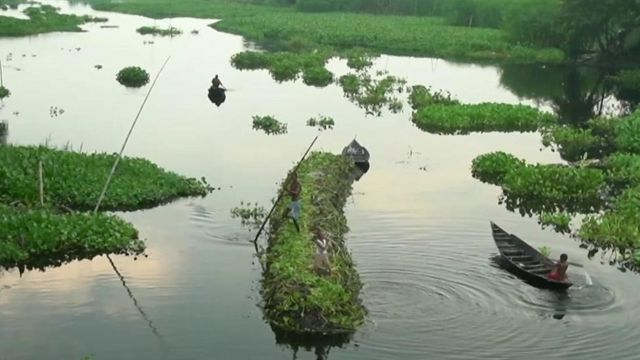 بنگلہ دیش