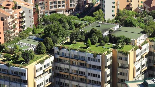 انتشترت الزراعة الحضرية على أسطح العمارات ووسط المباني الخرسانية في أنحاء موناكو