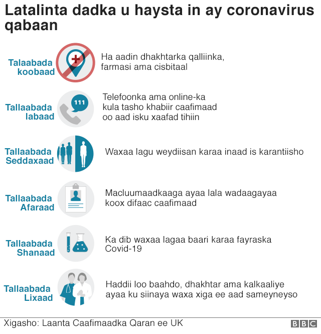 Macluumaad kooban oo la xiriira covid-19