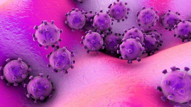 目前已知能感染人體的冠狀病毒有六種。