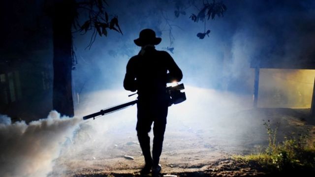 මදුරුවන් බෝ වන ස්ථාන විනාශ කිරීම සහ මදුරුවන් දෂ්ඨනය වළක්වා ගැනීම ඔබ ඩෙංගු රෝගයෙකු බවට පත් නොවීමට ඉවහල් වේ.