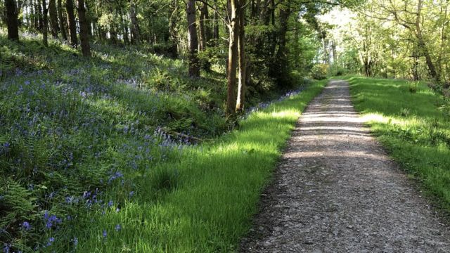 Eastridge Mtb Trail Map Unofficial Mountain Bike Trails At Eastridge Woods 'Causing Hazards' - Bbc  News