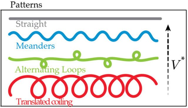 diagram of different loops