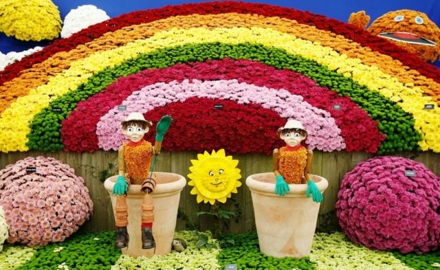 英國切爾西花展百年首次搬到網上五種花卉史話 c News 中文