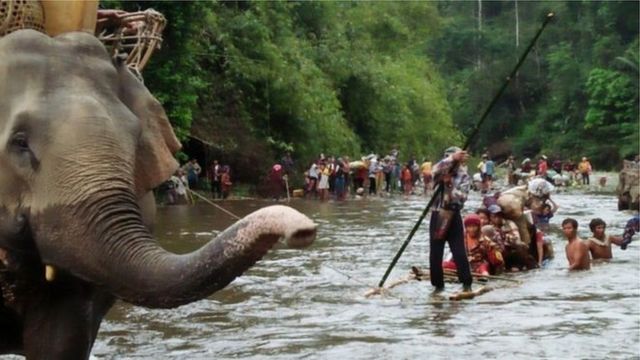 တိုက်ပွဲတွေကြောင့် နေအိမ်တွေစွန့်ခွာထွက်ပြေးခဲ့ရတဲ့ ကချင်ပြည်နယ်ကစစ်ရှောင်တွေ