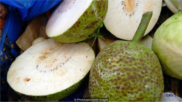 come-se: Pão do coco ou maçã do coco