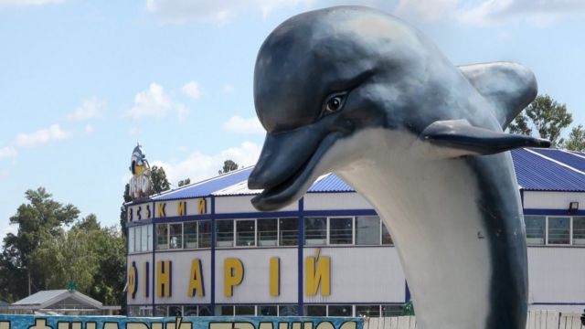 Киевский дельфинарий "Немо"