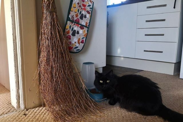 A witch's broom and a black cat named Cairn