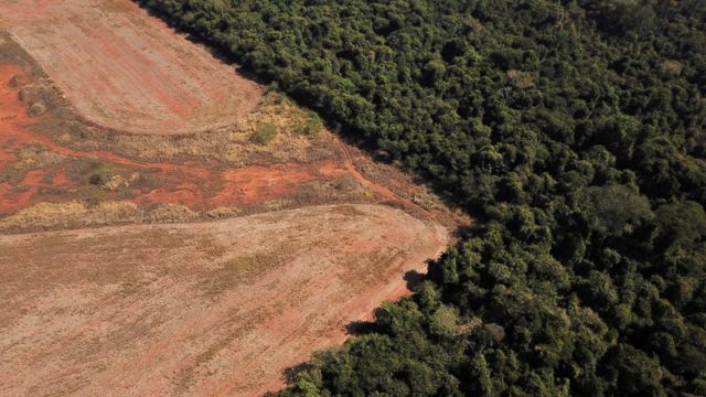 Aerial image of a deforested area on the border between the Amazon and the Brazilian Cerrado in Mato Grosso.