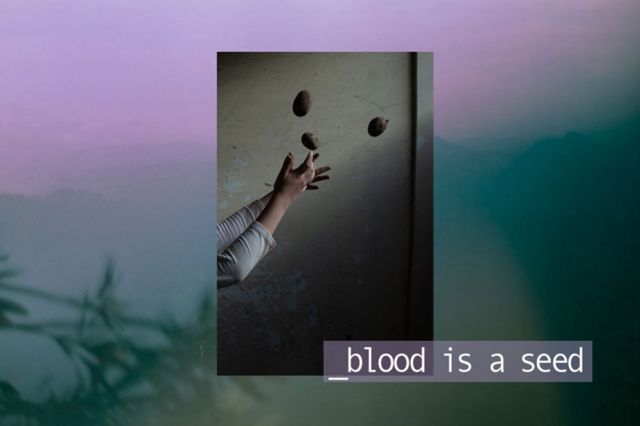 Afiche del proyecto fotográfico Blood is a Seed de Isadora Romero