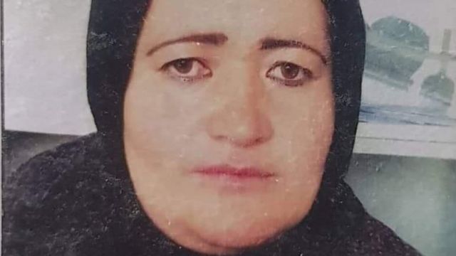 Banu Negar