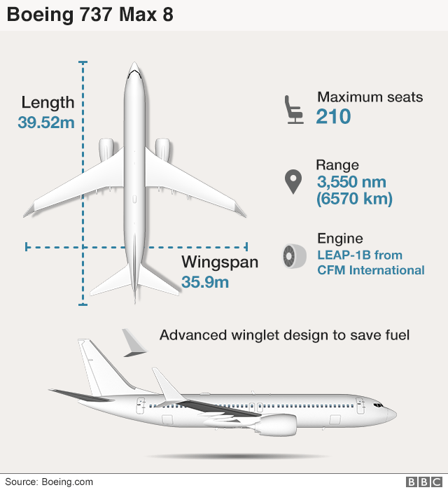 Infographic of the Boeing 737 Max 8