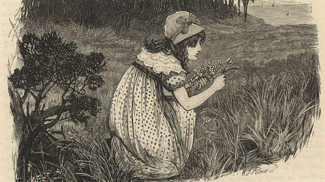 Mary Fairfax Somerville en la pradera