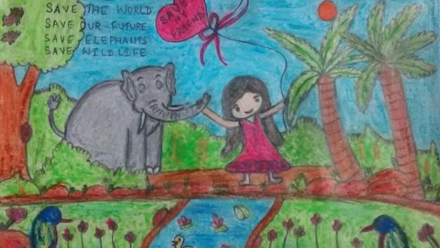 Inspirational' wildlife posters win UN competition - BBC News