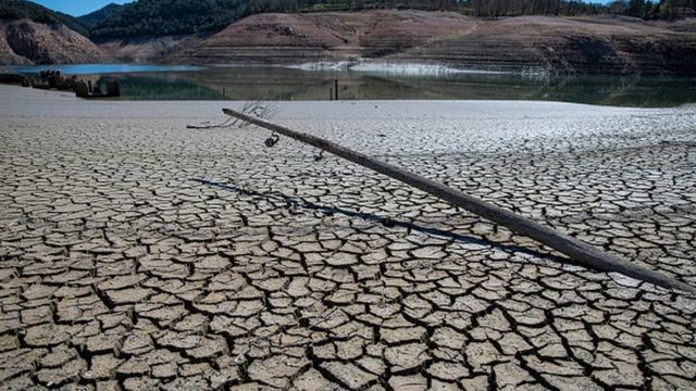 Каталония переживает сильнейшую засуху в истории. Сельское хозяйство ...
