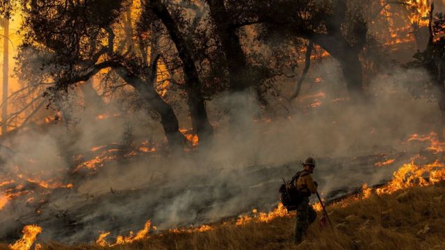 A firefighter battles the Kincade Fire in California on 26 October, 2019