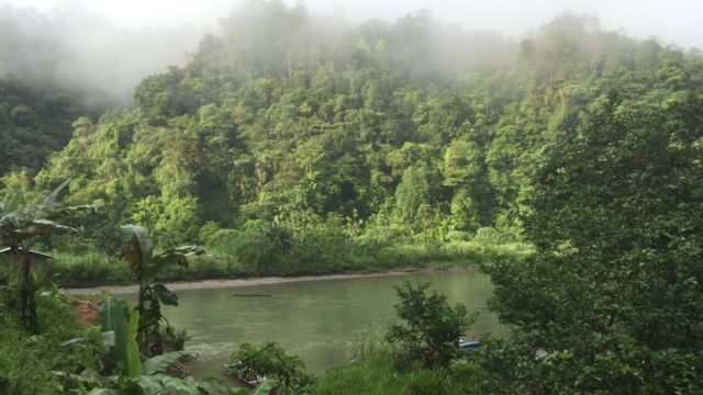 Selvas de Colombia