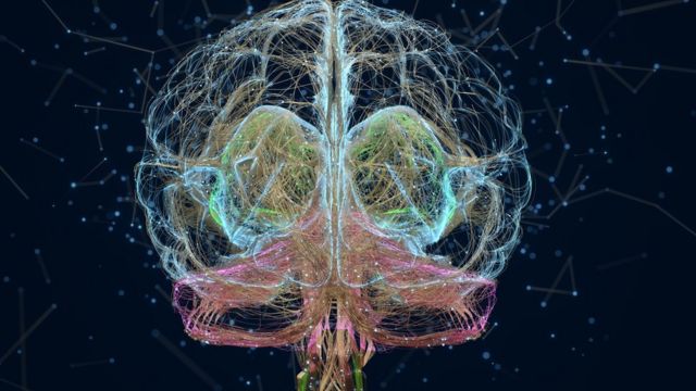 El cerebro es la estructura más compleja y enigmática en el universo.  Contiene más neuronas que las estrellas existentes en la galaxia" - BBC  News Mundo