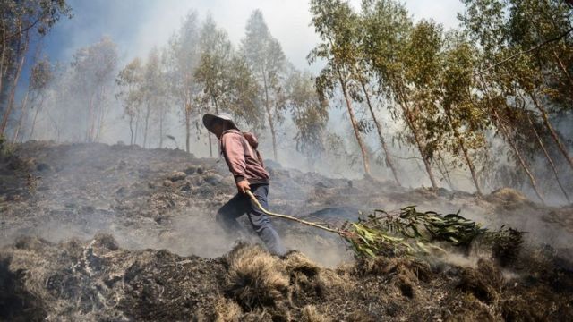 رجل يحمل فرع شجرة بعد إخماد حريق في غابة بالقرب من مدينة كوسكو في بيرو، أكتوبر/تشرين الأول عام