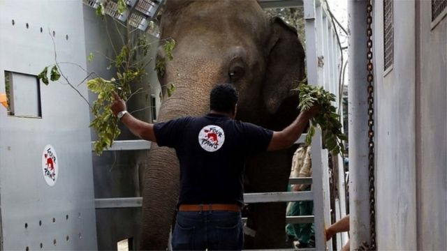 ক্যাম্বোডিয়া নেয়ার জন্য সহায়তা করেছেন পশু চিকিৎসক আমির খলিল