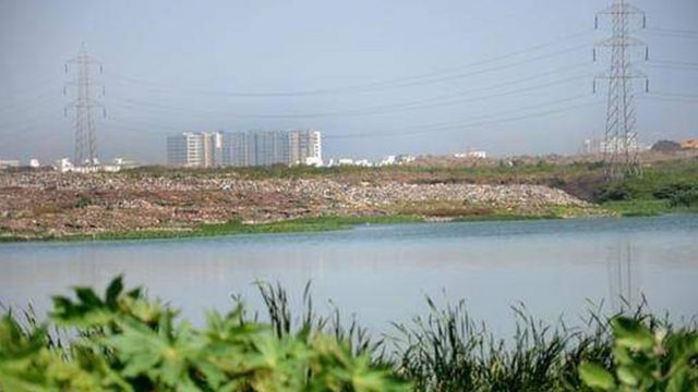 பள்ளிக்கரணை சதுப்பு நிலம்
