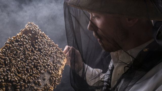 Пчеловод рассматривает часть улия