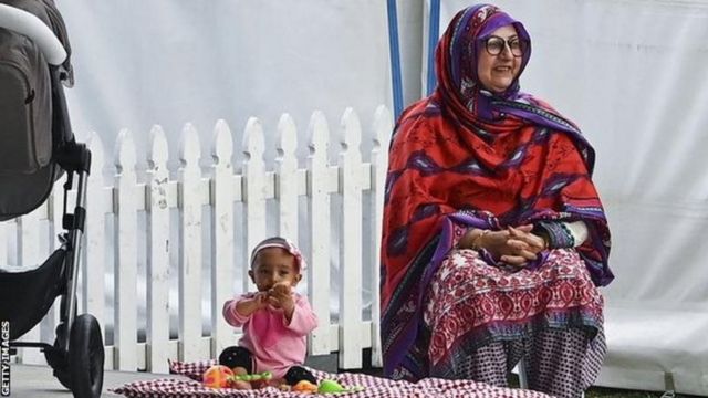 کرکٹ
