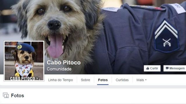 Página do cachorro Cabo Pitoco no Facebook tem mais de 110 mil seguidores