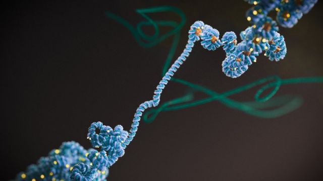 A descoberta sobre 'mat&eacute;ria escura' que pode mudar o tratamento do c&acirc;ncer -  BBC News Brasil