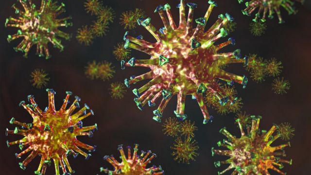 OMS diz esperar que variante Delta do coronavírus 'se torne a linhagem dominante em circulação nos próximos meses'