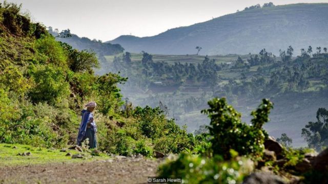 Rừng thiêng Ethiopia: Với những tán cây cổ thụ đan xen, Rừng Thiêng Ethiopia là một trong những di sản văn hóa thế giới được UNESCO công nhận. Bức ảnh này sẽ đưa bạn đến với không gian bí ẩn và giản đơn nhưng ẩn chứa nhiều điều thú vị để khám phá.