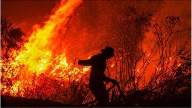 Pemadam kebakaran berupaya menjinakkan api di sebuah lahan di Kampung Rambutan, Ogan Ilir, Sumatera Selatan, 11 September 2019.