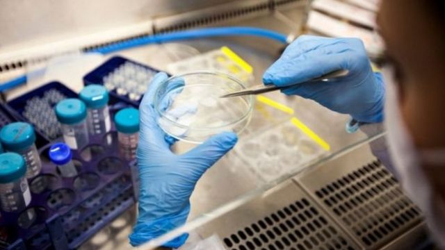 Técnico en el laboratorio
