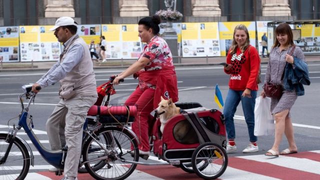 Жінка на велосипеді везе собаку