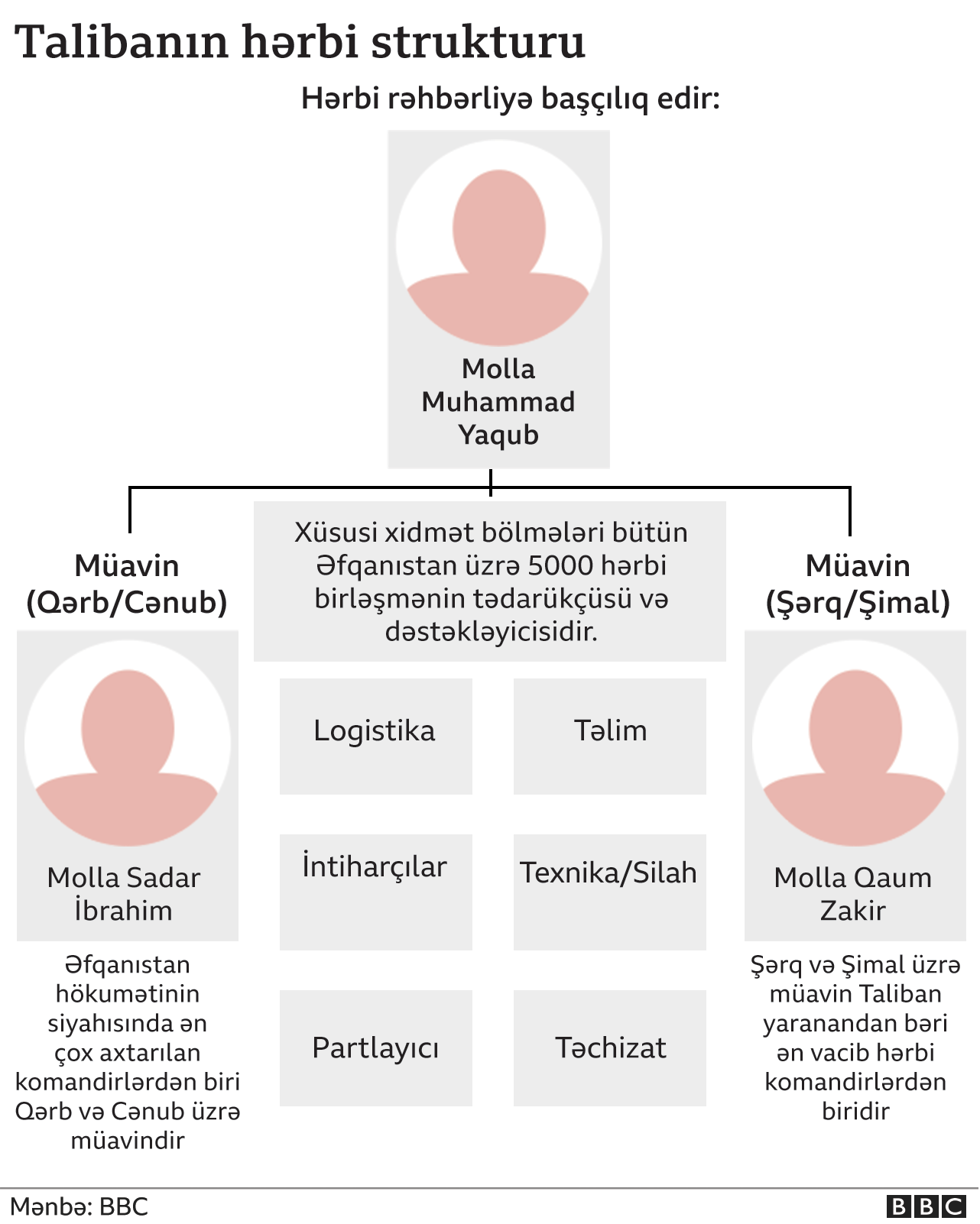 Əfqanıstan, taliban